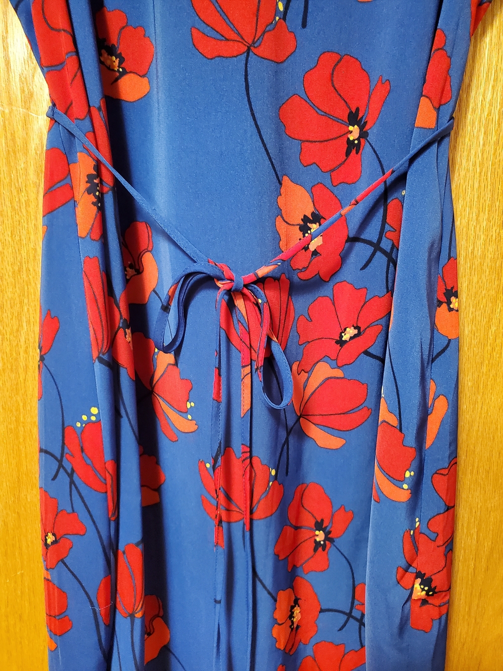 41 Hawthorn Blue Dress with Red Floral Print - Picture 5 of 9